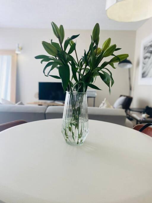 A Zen And Chic Beachfront Apartment Swakopmund Esterno foto